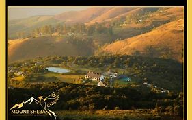 Mount Sheba Rainforest Hotel - Mountain Spring Water